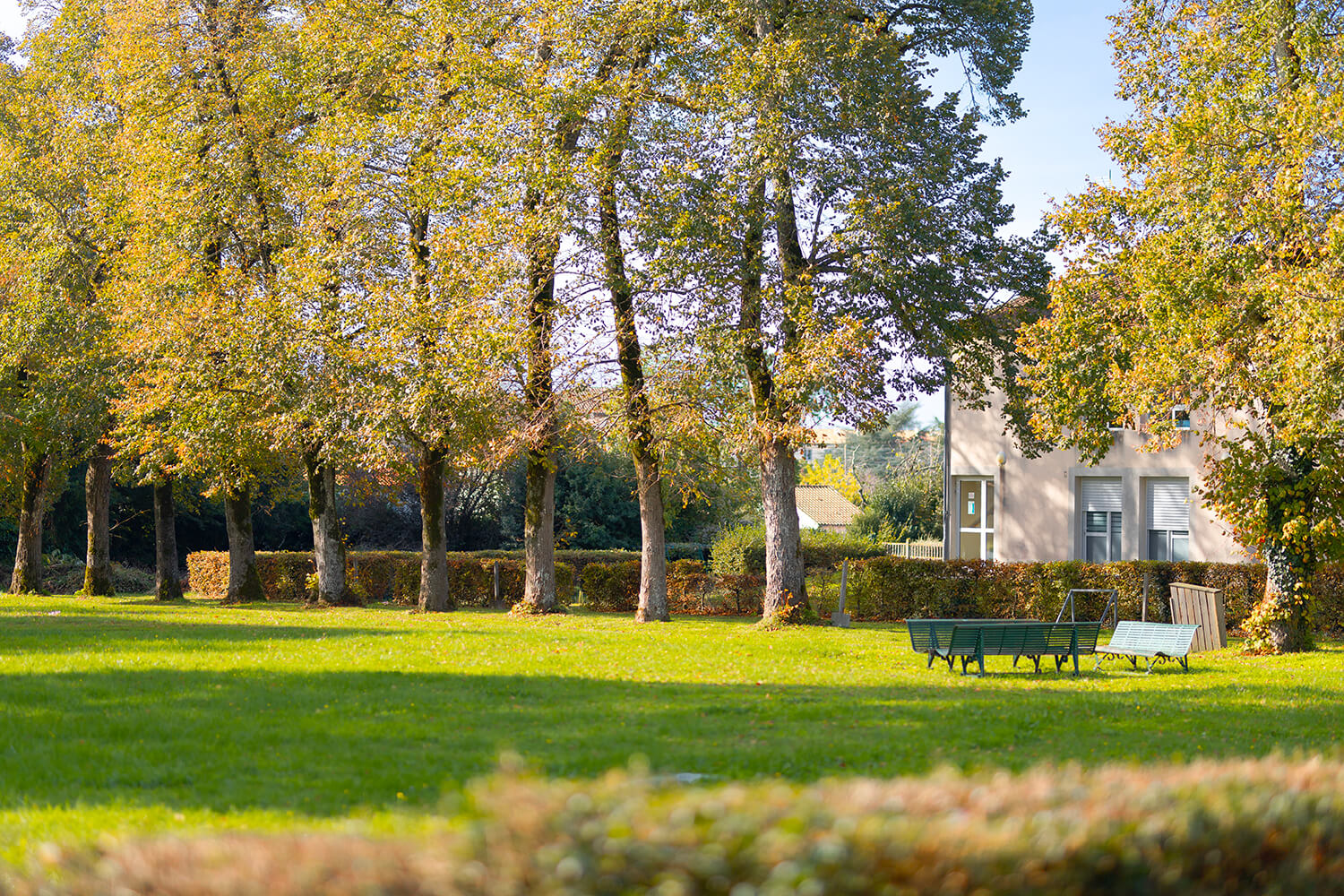 cour du lycée